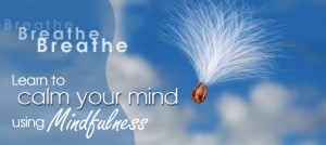 Breathe. Learn to calm your mind using mindfulness